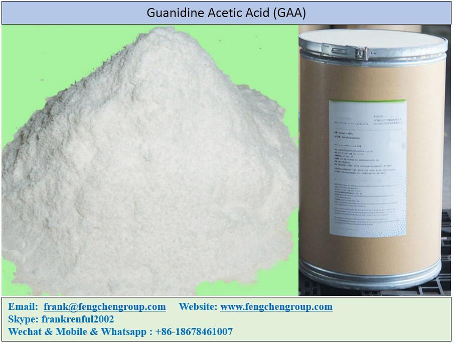 خرید و فروش پودر اسید استیک گوانیدین Guanidine Acetic Acid کریئتین CREATINE