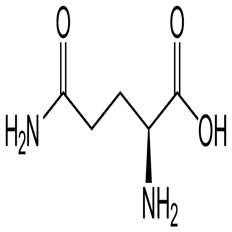 خرید و فروش پودر ال گلوتامین L Glutamine