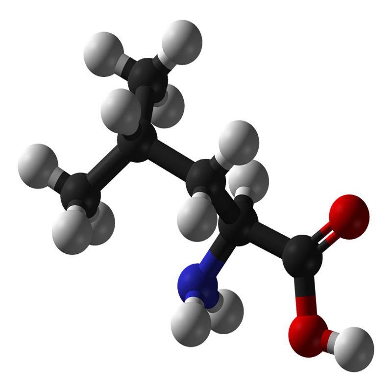 خرید و فروش پودر ال لوسین L Leucine