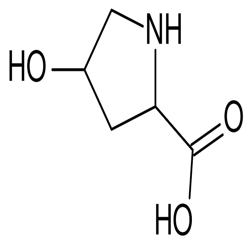 خرید و فروش پودر ال هیدروکسی پرولین L Hydroxyproline