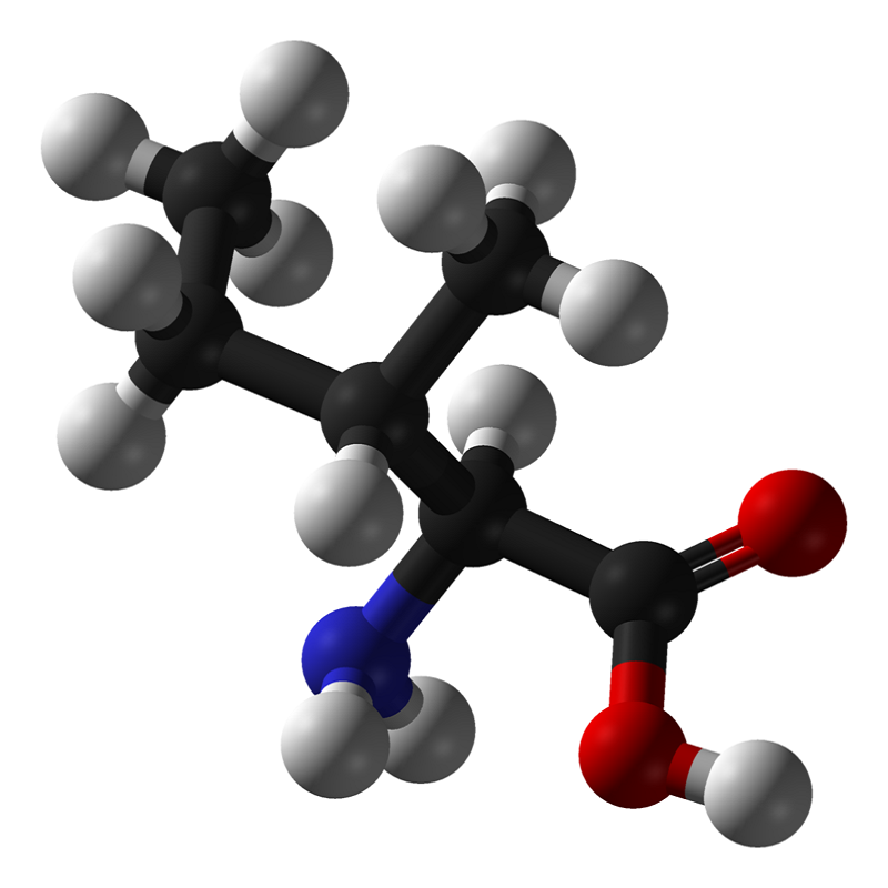 خرید و فروش پودر ایزولوسین Isoleucin