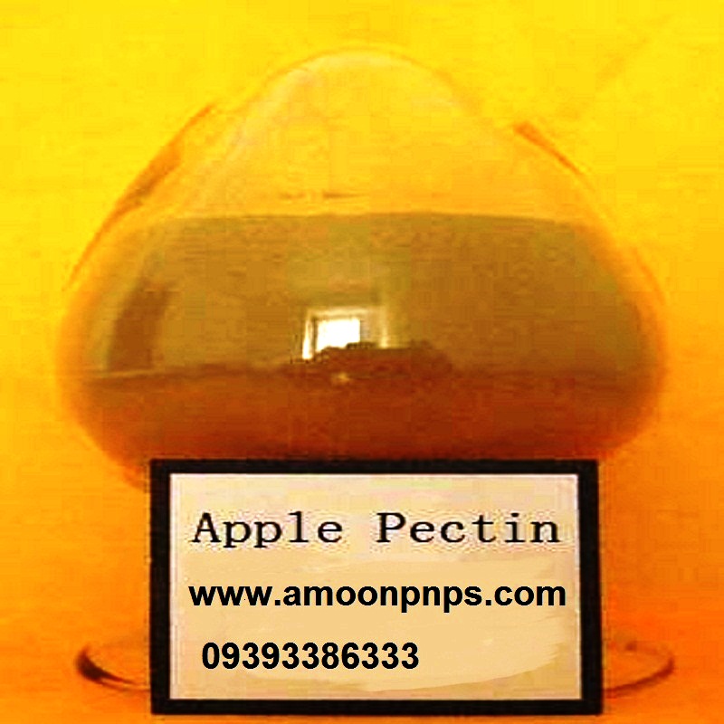 خرید و فروش پودر پکتین سیب Apple Pectin