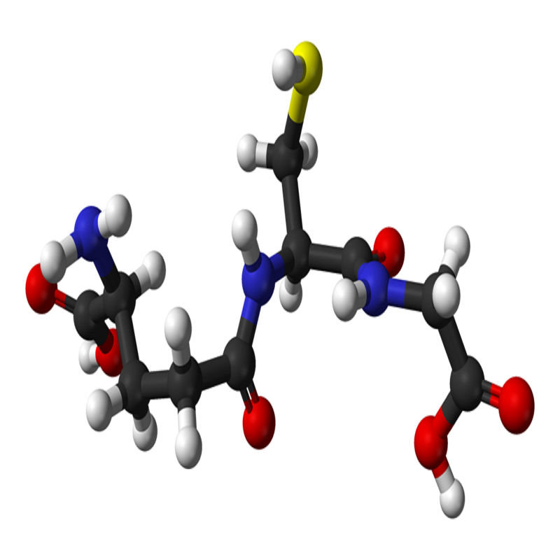 خرید و فروش پودر ال گلوتاتیون L Glutathione